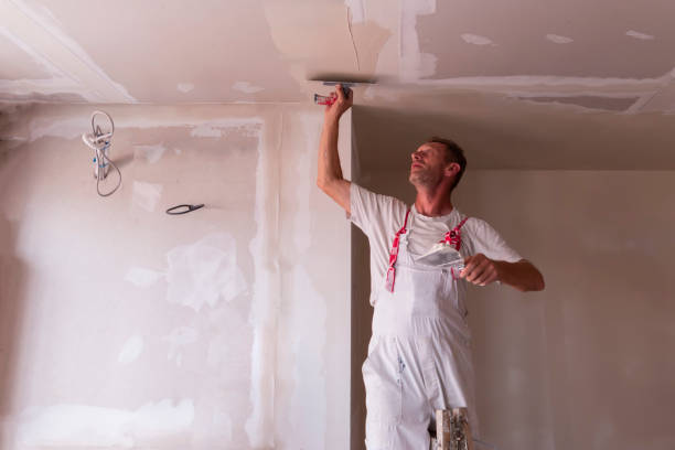 Best Ceiling Drywall Installation  in Mastic Beach, NY